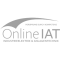 online iat